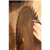 Image 3 : 24" Saw Blade