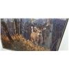 Image 2 : FRAMED WHITE TAIL PRINT 46"W X 29"H
