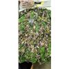 Image 8 : MOTHWING LONG SLEEVE CAMO SHIRTS QTY X 6, SHORT SLEEVE QTY 1 $340