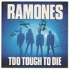 Image 1 : Ramones Signed Album