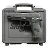 Image 1 : SIG SAUER P226 DAO SEMI AUTO PISTOL.