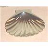 Image 1 : 8 Exquisite 950 Sterling Shell Butter Pats  #1871262