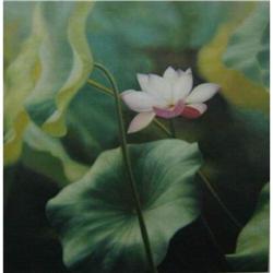 original oil on canvas, Lotus on water, #1884667