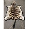 Image 1 : Taxidermy Zebra Hide Rug