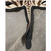 Image 2 : Taxidermy Zebra Hide Rug