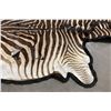 Image 5 : Taxidermy Zebra Hide Rug