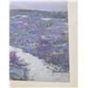 Image 2 : Hand Tinted California Super Bloom Photo