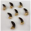 Image 2 : Lot of Montana Taxidermy Wolf Claws