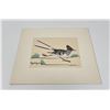 Image 1 : Archie Blackowl Cheyenne Indian Serigraph