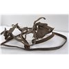 Image 2 : US Cavalry Mule Blinders