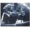 Image 1 : Ali and Norton Black And White by Ali, Muhammad