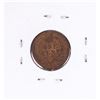 Image 2 : 1894 Indian Head Cent Coin