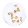 Image 1 : Lot of Gold Nuggets 2.00 Grams Total Weight