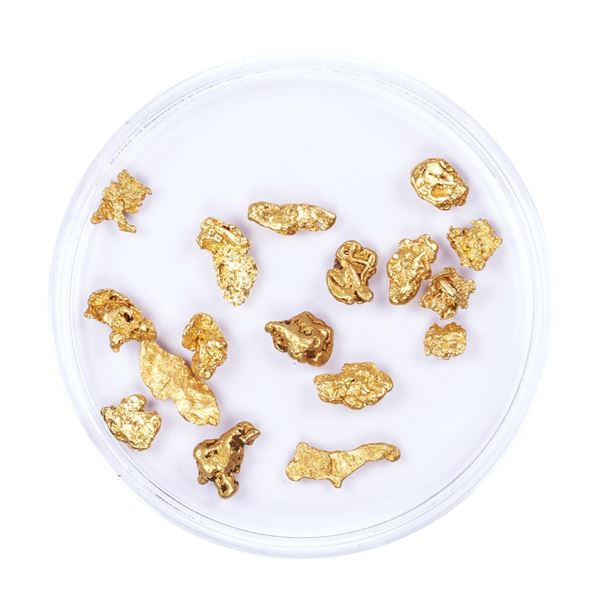 Lot of Gold Nuggets 3.68 Grams Total Weight