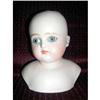 Unmarked Turned Shoulder Plate Head Bisque Head#1849628