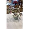 Image 3 : JADE TREE