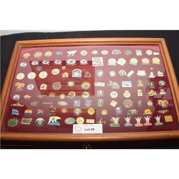 HUGE PIN LOT AND CASE