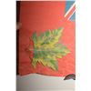 Image 2 : STRANGE ANTIQUE CANADIAN FLAG