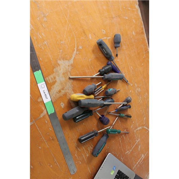 (20) Screwdrivers