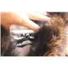 Image 2 : Raccoon Western Fur Size 8-10 Fur Coat