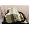Image 3 : Bertini Lux Bass Accordion and Case #620 Pisa