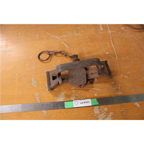 Animal Trap