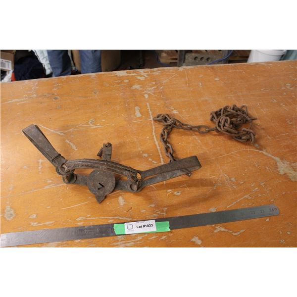 Animal Trap