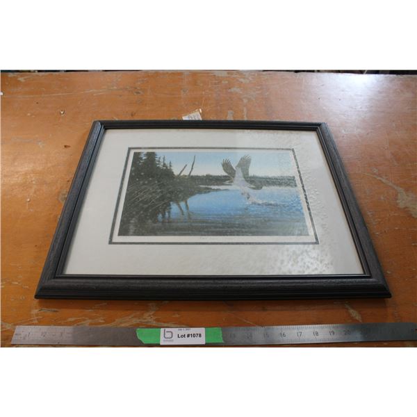 Eagle Picture in Frame