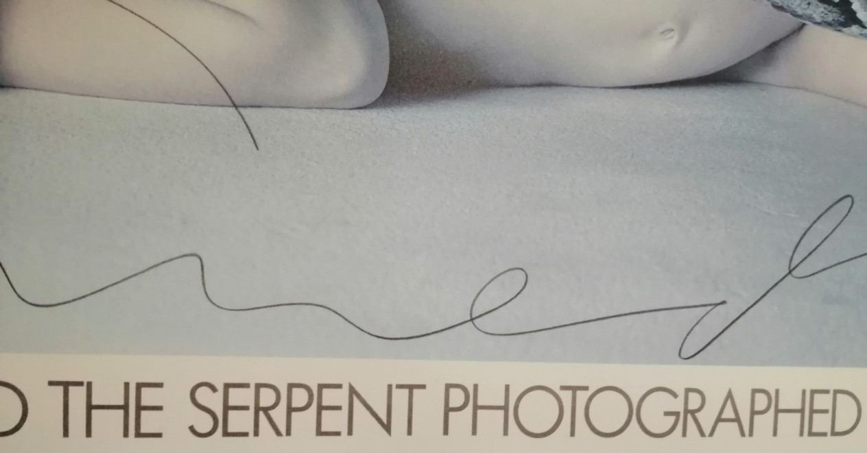 Photographer Richard Avedon Nastassja Kinski and the serpent.