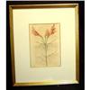 Image 1 : Antique Botanical Lilly Plant #1849438
