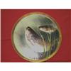 Image 1 : Beautiful hand painted Limoge plate with Fish #1900655