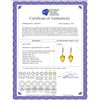 Image 2 : Genuine 19.15 ctw Citrine & Diamond Earrings 14KT Yellow Gold - REF-49N2R