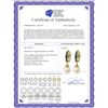 Image 2 : Genuine 9.3 ctw Sapphire & Pearl Earrings 14KT Yellow Gold - REF-46H2X