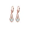 Image 1 : Genuine 1.25 ctw Blue Topaz Earrings 14KT Rose Gold - REF-25K6V