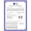 Image 2 : Genuine 0.85 ctw Amethyst Earrings 14KT White Gold - REF-37P2H