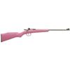 Image 1 : KSA CRICKETT G2 22LR PINK SYN ST BBL