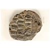 Image 1 : CHRIST, EMPEROR OF EMPEPORS= XRISTUS ANCIENT COIN