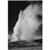 Image 1 : Adams - Old Faithful Geyser Erupting in Yellowstone National Park