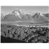 Image 1 : Adams - Mount Moran in Grand Teton Wyoming