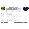 Image 2 : 17.4 ctw Oval Cut Sapphire Parcel