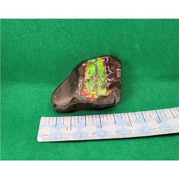 5)  NATURAL 113.9 GRAM AMMOLITE
