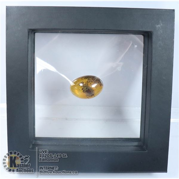 PIECE FOSSIL AMBER WITH INSECT INCLUSION, BEETLE