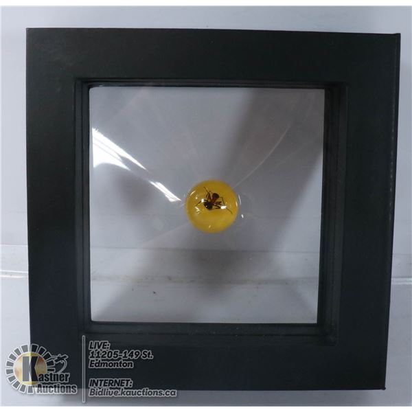 PIECE FOSSIL AMBER WITH INSECT INCLUSION, ANT