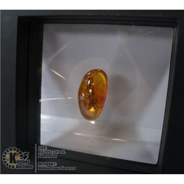 PIECE FOSSIL AMBER WITH INSECT INCLUSION, CRICKET