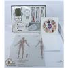Image 1 : NEW IQ TECHNOLOGIES PRO V TENS MACHINE SYSTEM