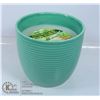 Image 1 : 170G CITRONELLA CANDLE IN A COLOURFUL POT