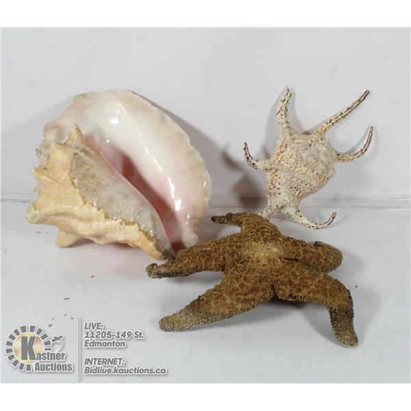 LOT OF SEA CREATURES