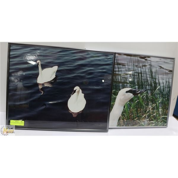 SET OF 2 FRAMED WILDLIFE PHOTOS