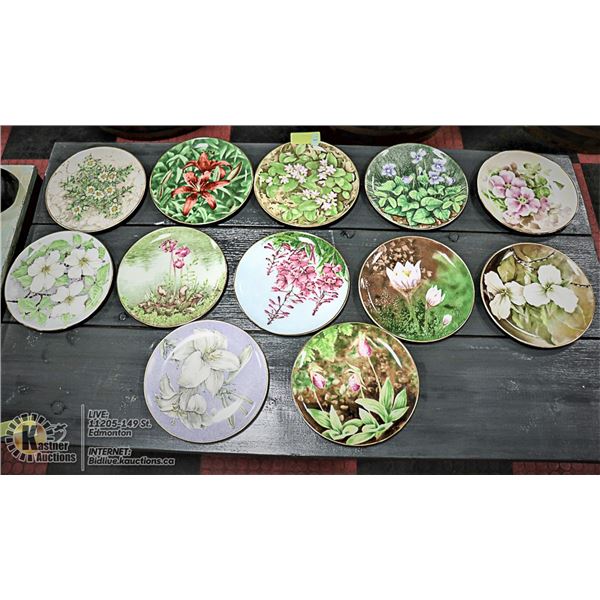 LOT OF 12 ASSORTED CANADIAN PROVINCIAL FLOWER