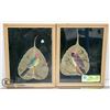 Image 1 : 2 HANDPAINTED BIRDS ON LARGE LEAVES FRAMED